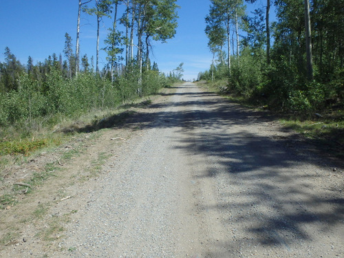 GDMBR: A little uphill.
